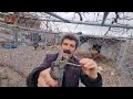 ترێکانمان چۆن ببڕین کەشوهەوای ناوچەکەی خۆت کاتی بڕینی دیاری دەکات
