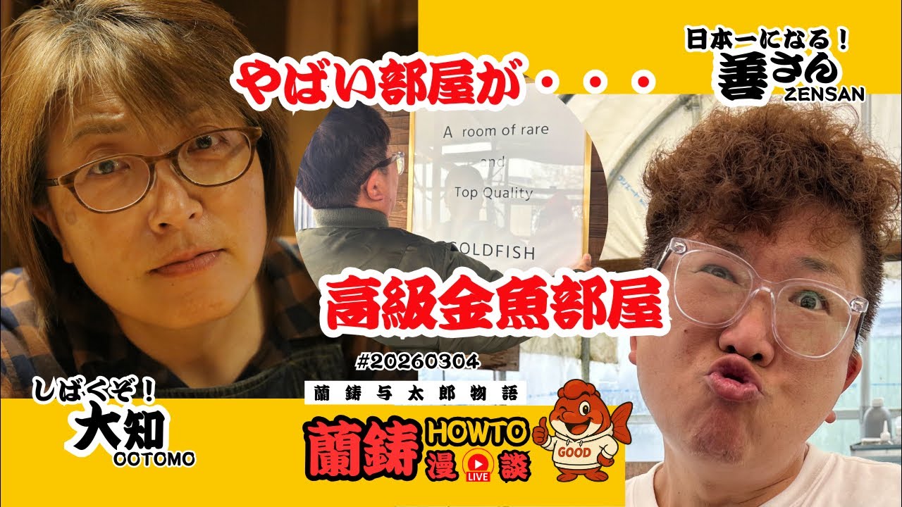 秘密の部屋】善魚センターに高級金魚部屋出現！ - YouTube