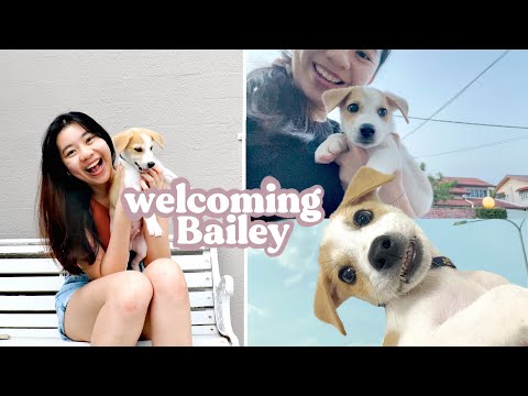 I adopted a puppy 🐶 | First week with my new puppy + storytime