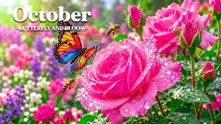 Golden October Garden 8K 🍂 Butterflies, Bees & Soft Piano Music screenshot 5