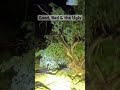 This trail is part of the Arizona peace Trail called the good the bad and the ugly and it sure is!
