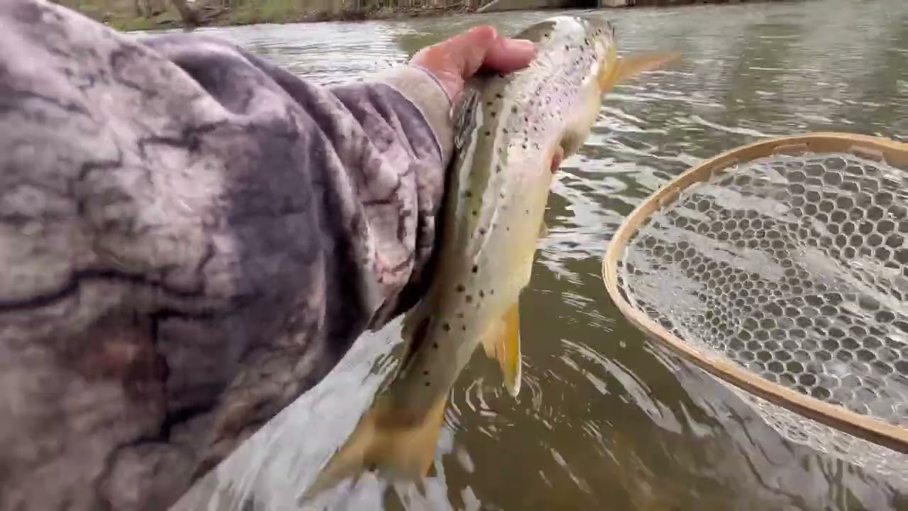 How To Fish TROUT MAGNETS In Creeks Or Rivers (WE GOT A CUTTY