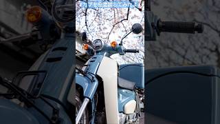 110 ja59 supercub supercub110 honda motarcycle