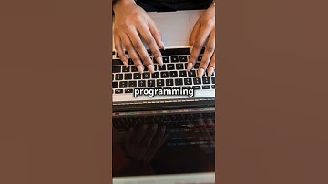 Fun Facts About Coding You Didn