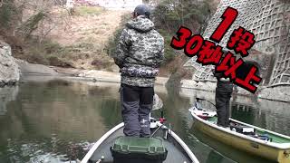 【春の相模湖】知人にトラファルガー5水面ピクピクを解説していたらいきなり衝撃の丸飲みビッグバイト