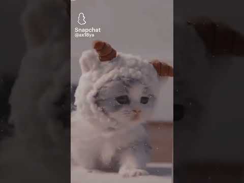 ١٩ أكتوبر ٢٠٢٥