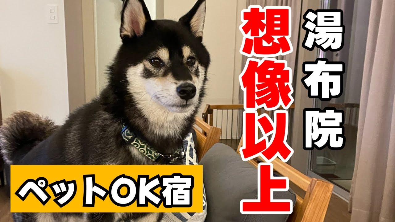 想像以上の宿　湯布院オッポ【ペットOK】