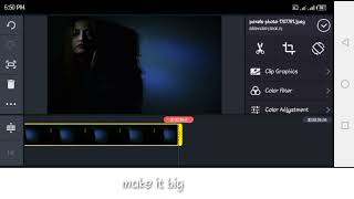 How To Black Screen Setup In Kine Master