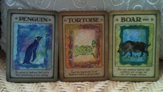 Justine's Stream Weekly Angel Reading - With Animal Spirit Guide Messages (August 19, 2013)