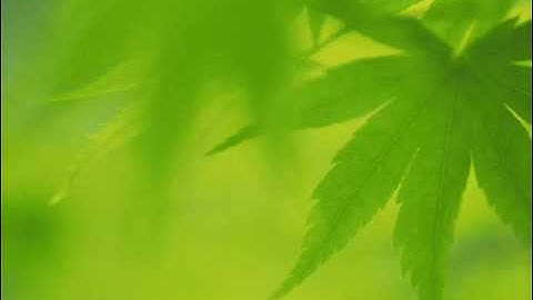 سورة ال عمران الشيخ أحمد العجمي surah al imran .. Sheikh ahmed alajmi