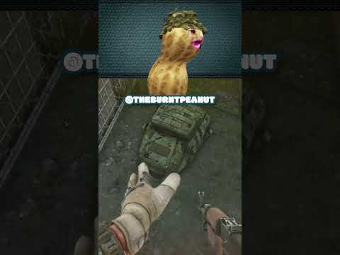 Please Stand Still Sir #burntpeanut #tarkov