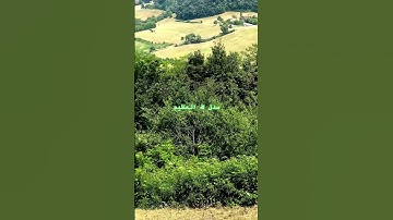 #egzonibrahimi #سورة_الإخلاص #ikhlas #explore #المصحف #flowers #تيك_توك #تيك_توك #لايك