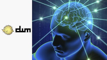 Install Luke Smith st, dwm, dwmblocks, dmenu on OpenBSD (single script)