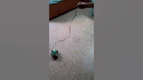 Skyfi Labs Online Course - Gesture Based Robotics - Bindu & Ranjana Oram