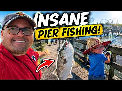 We Fished the Most Famous Pier in Ocean City We Fished the Most Famous Pier in Ocean City