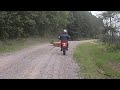 Wild Critters on the trail