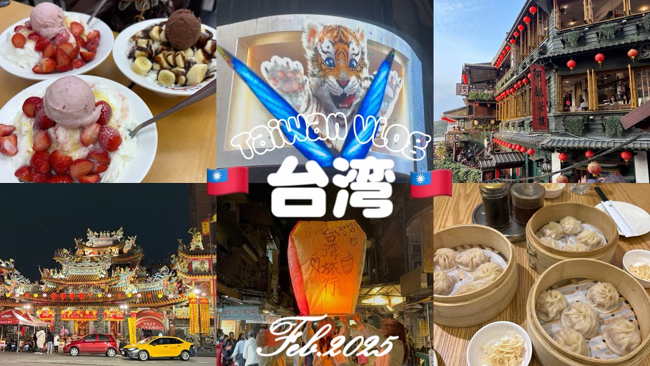 【台湾vlog】初めての台湾旅行🇹🇼🏮2泊3日の女子大生3人旅✈️🩷🧳｜2025.02｜台北｜九份｜十分｜士林夜市｜饒河街夜市｜台北101｜西門｜龍門寺|迪化街