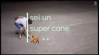 il mio gioco preferito 🥎🥎 screenshot 3