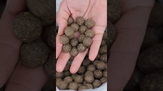 🐋 This boilie catches carp and is inexpensive! You can see the full video on our YouTube channel.