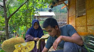 Enjoy the rainy atmosphere in the village while making jackfruit cake