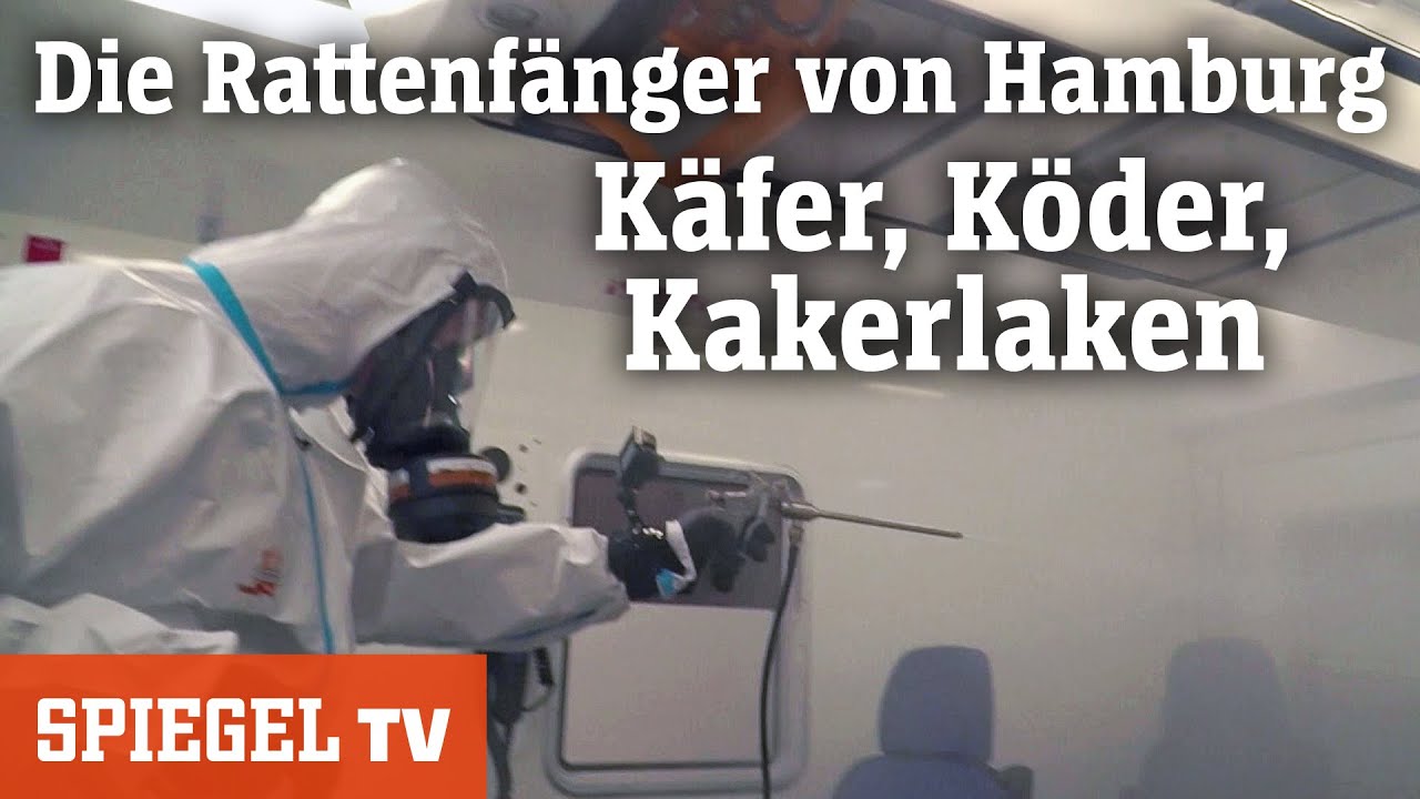 köder kakerlaken Kakerlakengift: 6 XXL Köderdosen & 2x 10g Schabengel – Panteer