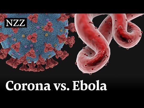 Video: Veränderungen In Der Risikowahrnehmung Während Der Ebola-Virus-Epidemie 2014: Ergebnisse Zweier Aufeinanderfolgender Umfragen Unter Der Allgemeinbevölkerung In Niedersachsen