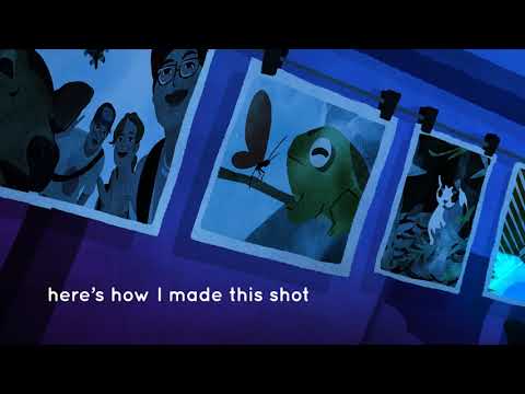 "Kaeru" Compositing Tutorial- Photo Distortion