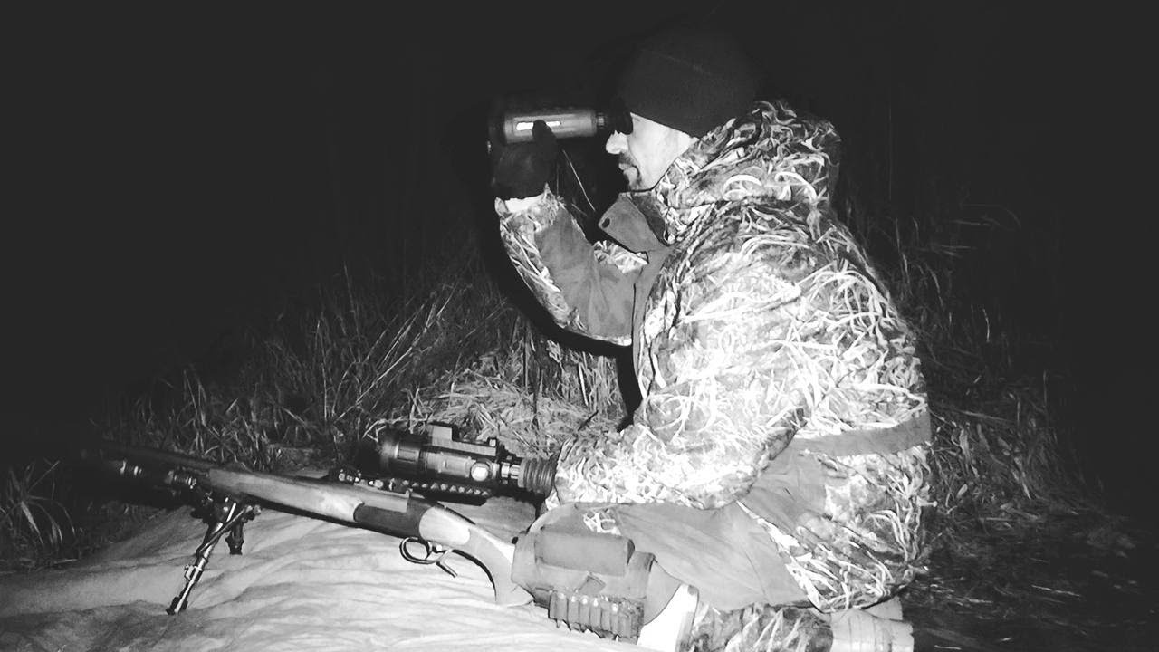 ОХОТА НА БОБРА С ПРИЦЕЛОМ SFH VARG H50RL PRO