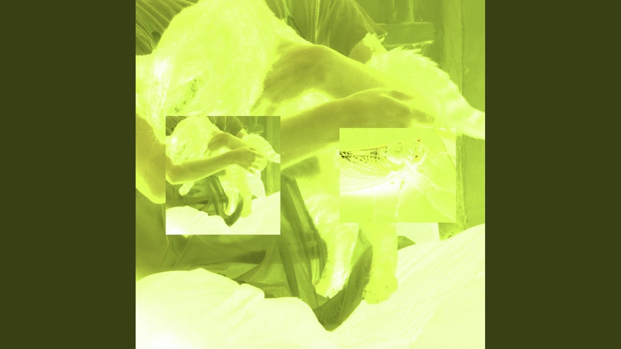YouTubeでCicadasを視聴