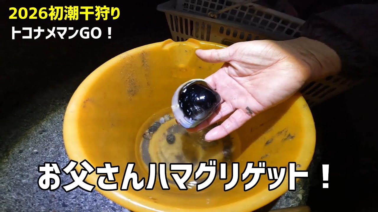 【2026年開幕直前！愛知潮干狩り速報】　今年のアサリはどうでしょうか？という事で深夜に調査に行ってきましたよ！