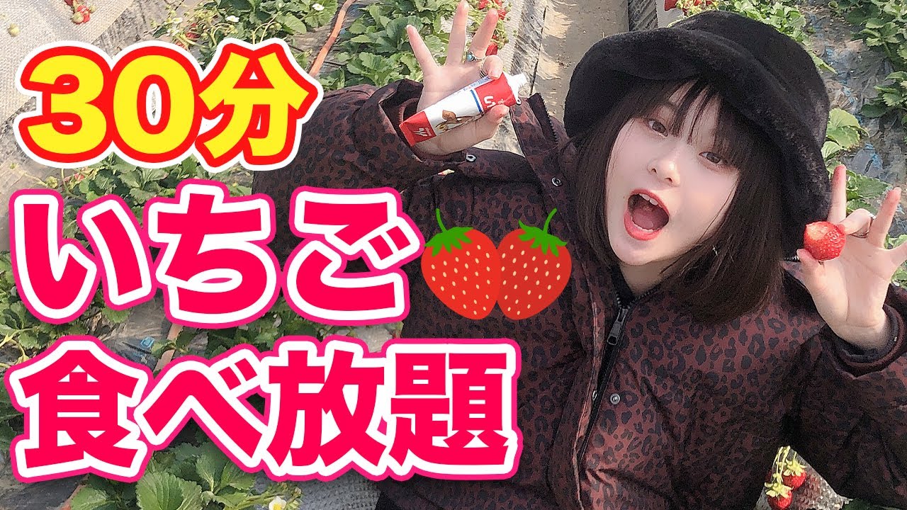 きいちご♪ ページ 苺風です strawberryページ 苺♥ いちごページ 椿 Buy ZX 8000 'Strawberry