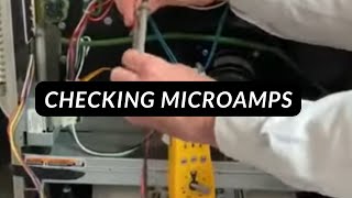 Checking Microamps Net Worth
