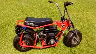 Baja Doodle Bug Update!