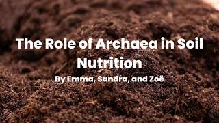 The Role of Archaea in Soil Nutrition