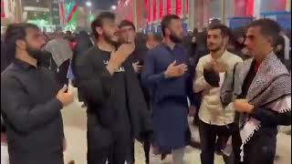 Talysh| Talışca Mərsiyə|Талыши В Кербале| Talyshy In Karbala| Toloşə Zıvon|Шииты Имама Али(А)