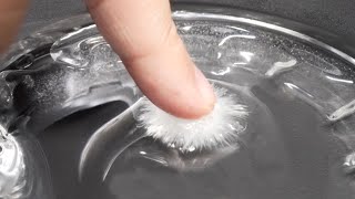 寄生虫を常温で氷漬けにする方法