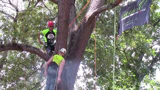 ITCC 2019 - Aerial Rescue - James Earhart