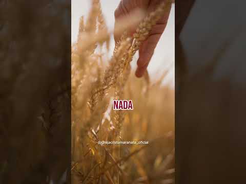 Você vale muito! - Igreja Cristã Maranata