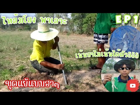 KUNDUCK CHANNELไปหาขุดแย้กลางทุ่งนาทั้งร้อนทั้งเหนื่อยไทส้มโฮงพาเลาะEP1BYKU ไปหาขุดแย้กลางทุ่งนา ทั้งร้อน ทั้งเหนื่อย 