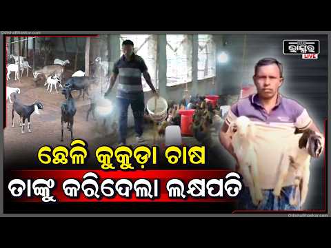 ବେରୋଜଗାରରୁ ସଫଳ ଉଦ୍ୟୋଗୀ, ଛେଳି ଓ କୁକୁଡ଼ା ଚାଷ ବଦଳାଇଦେଲା ଜିତେନ୍ଦ୍ରଙ୍କ ଭାଗ୍ୟ