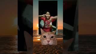 Meme Kucing Ketawa