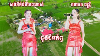 សង់ទីម៉ង់ល្បីៗពីរោះណាស់ - ដូនជីអភ័ព្វ - បងចេក តន្ត្រី - Songtimong Orkadong 2025