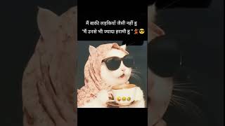 Mai to aisi hi hu #aesthetic #funny#cat#girl#selflove #selfobsessed