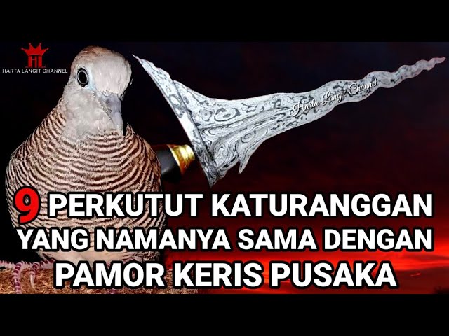 9 Perkutut katuranggan yang namanya sama dengan pamor Keris class=