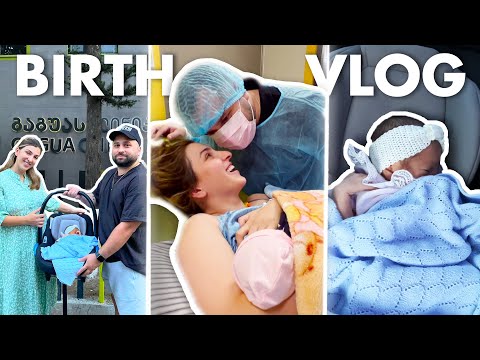 პატარა მაშოს დაბადება |GD Squad-ის ახალი წევრი