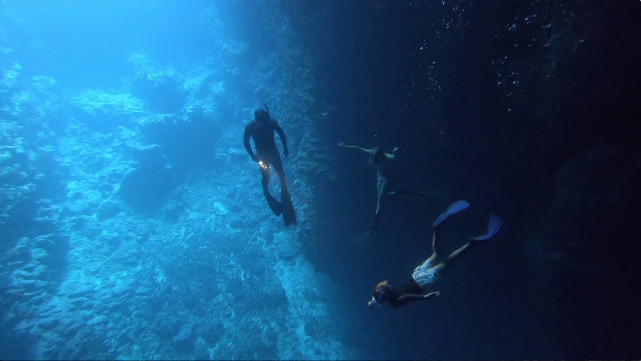Our No. 1 pick for yachting in the Pacific Vlog 85