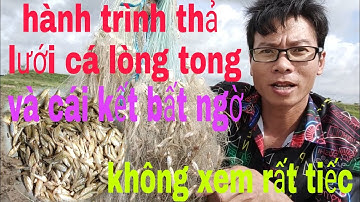 Anh Hai Cận Vlog.Hành Trình Đi Thả Lưới Cá Lòng Tong Và Cái Kết Thật Bất Ngờ