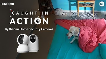 Xiaomi Home Security Camera - Caught in Action
