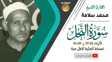محمد سلامة     سورة النحل