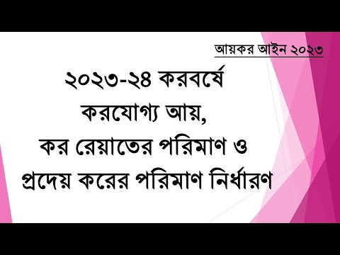 ভিডিও: ব্যক্তিগত আয়করের প্রধান উপাদান। ব্যক্তিগত আয়করের সাধারণ বৈশিষ্ট্য